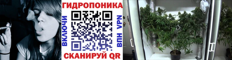 Наркота Пыть-Ях Амфетамин  MEGA ONION  ГАШИШ  СОЛЬ  Канабис  КОКАИН  Меф мяу мяу 
