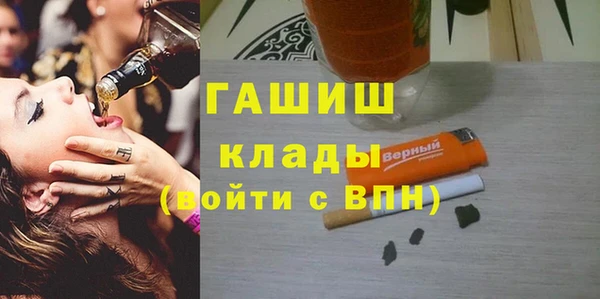 гидра Каменка
