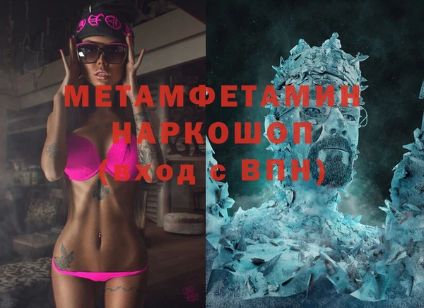 гидра Каменка