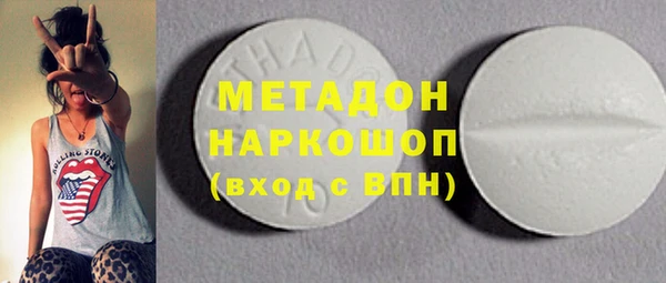 гидра Каменка