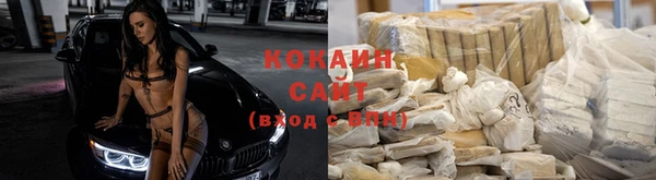 гидра Каменка