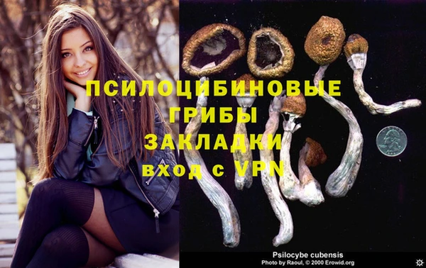 хмурый Каменногорск