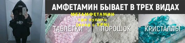 гидра Каменка