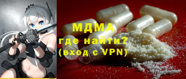 гидра Каменка