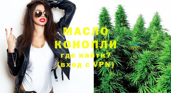 гидра Каменка