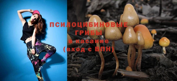 хмурый Каменногорск