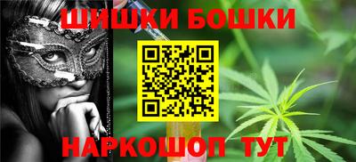 индика Тверь