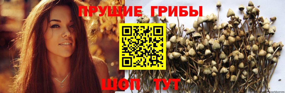 Псилоцибиновые грибы мицелий  Галлюциногенные грибы Magic Shrooms  Вход с VPN  Пыть-Ях 
